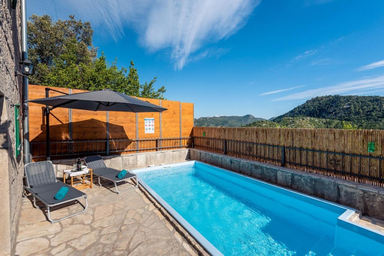 Villa Lazini Dvori Stasevica Extérieur photo