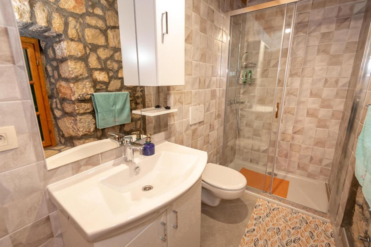 Villa Lazini Dvori Stasevica Extérieur photo