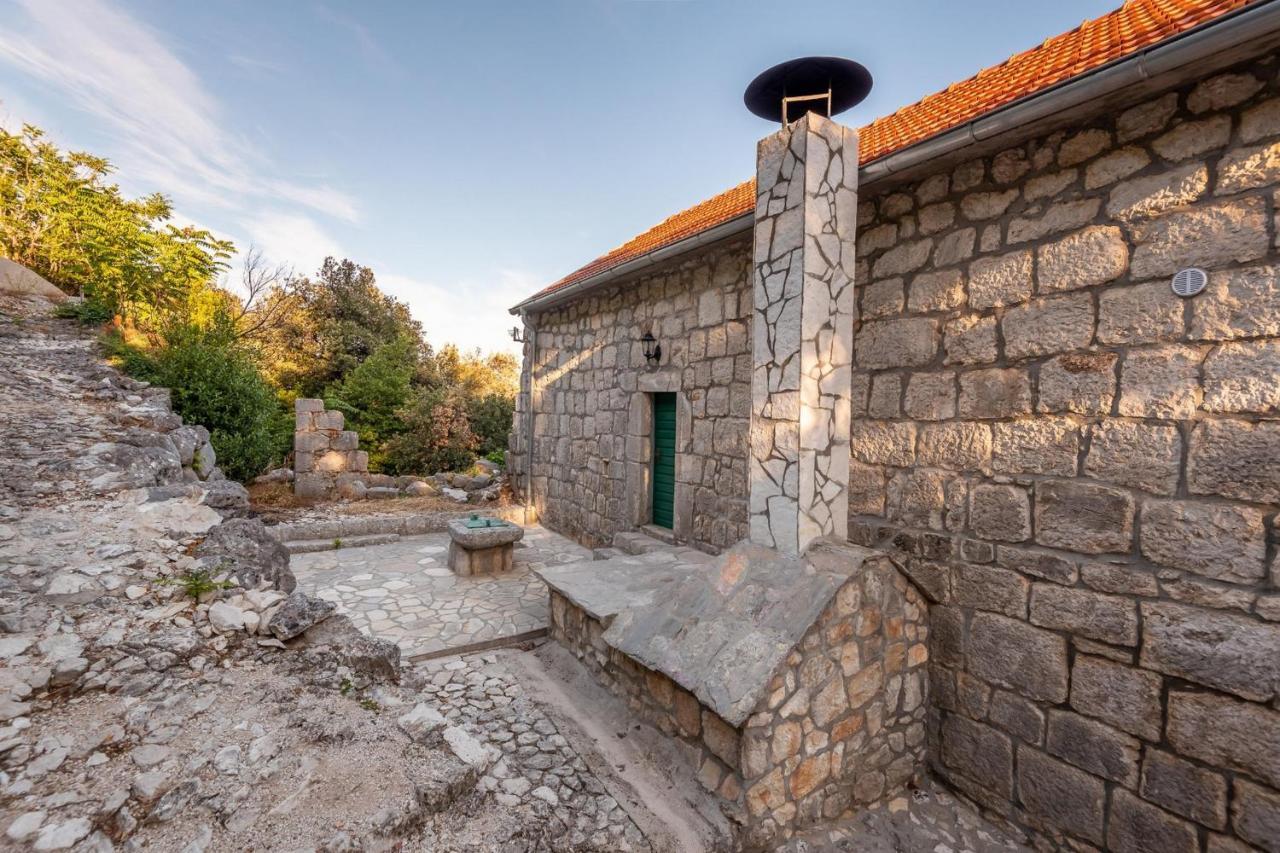 Villa Lazini Dvori Stasevica Extérieur photo
