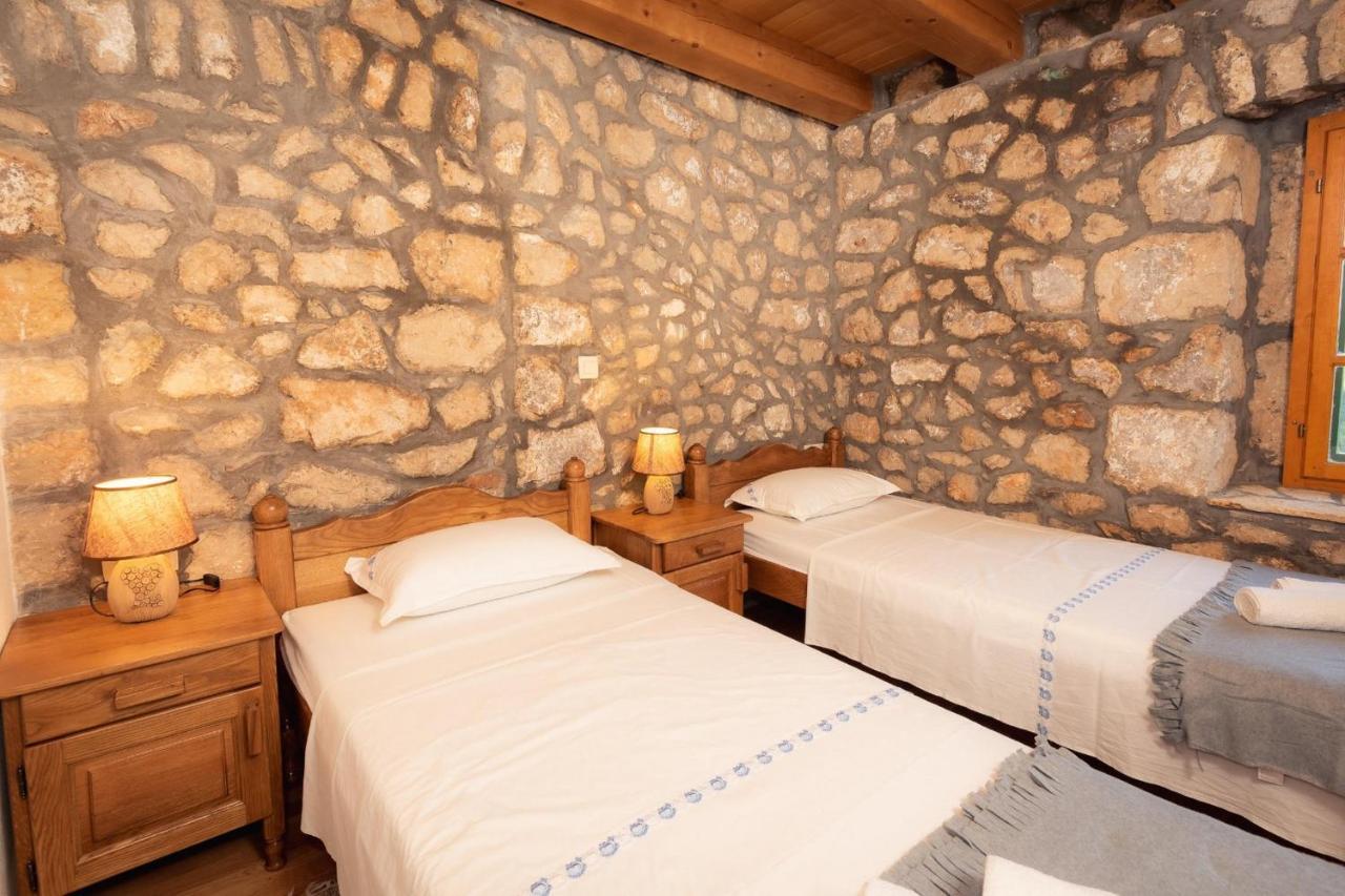 Villa Lazini Dvori Stasevica Extérieur photo