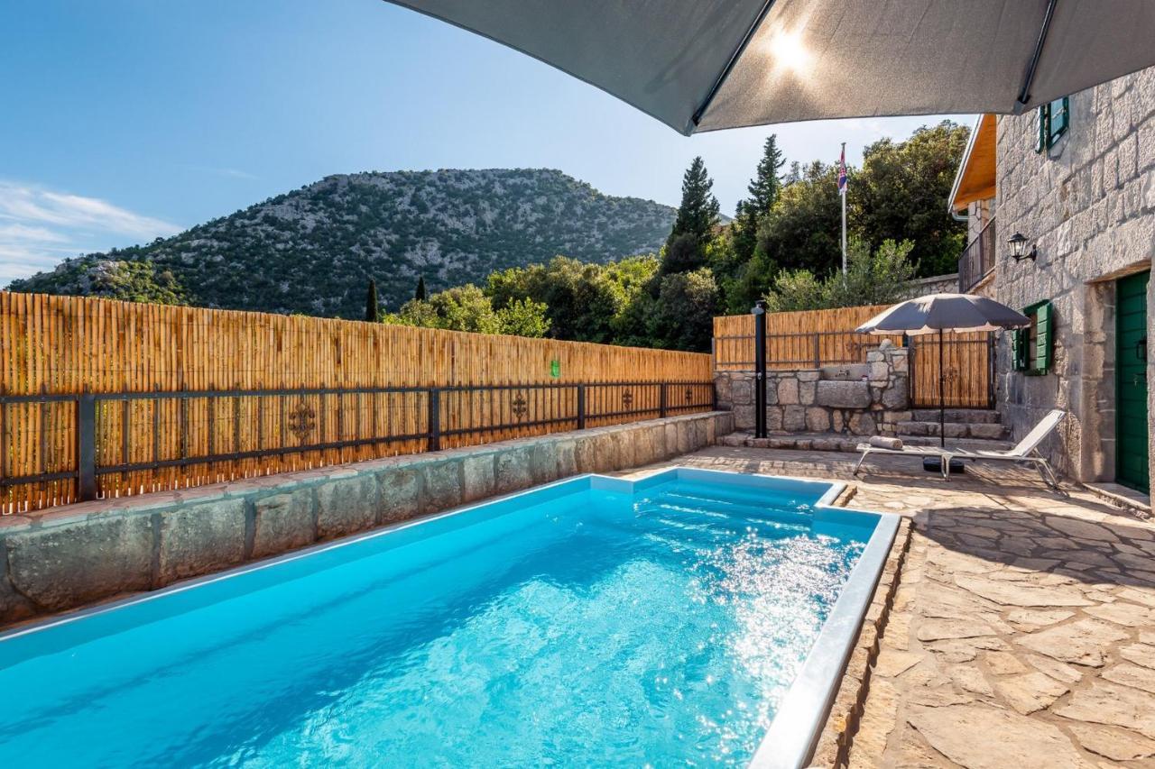 Villa Lazini Dvori Stasevica Extérieur photo