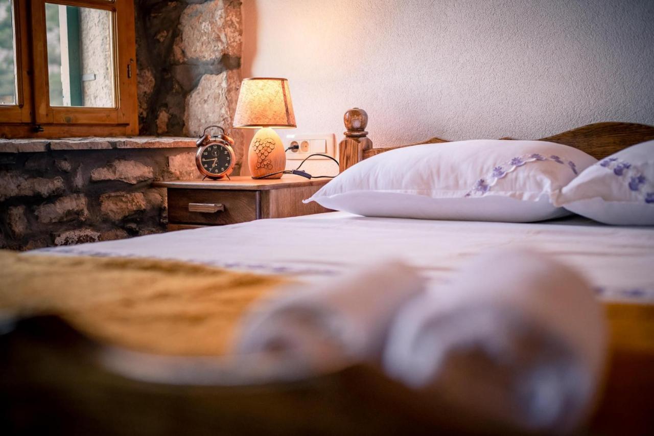 Villa Lazini Dvori Stasevica Extérieur photo