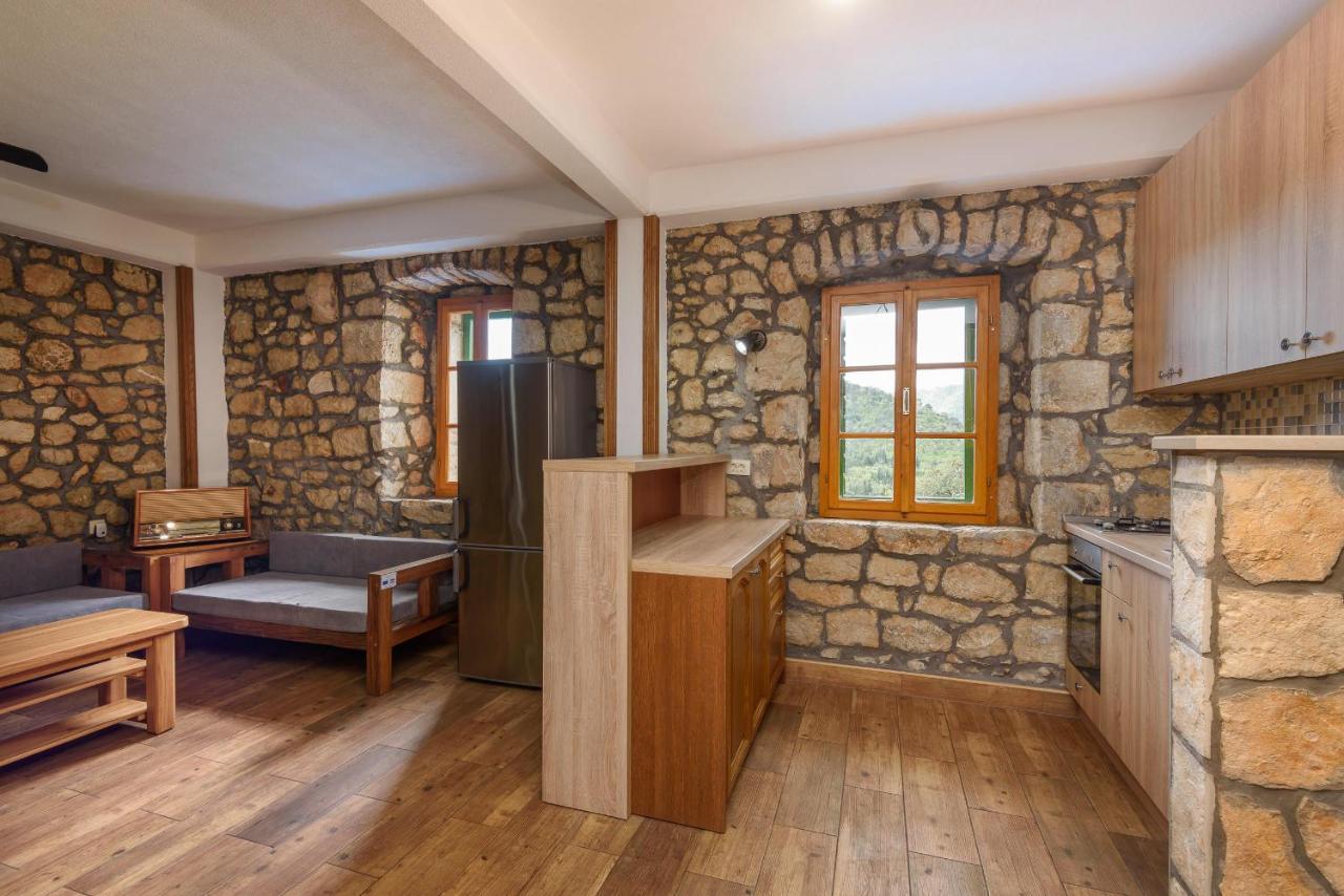 Villa Lazini Dvori Stasevica Extérieur photo